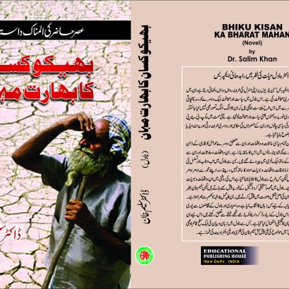 Novel