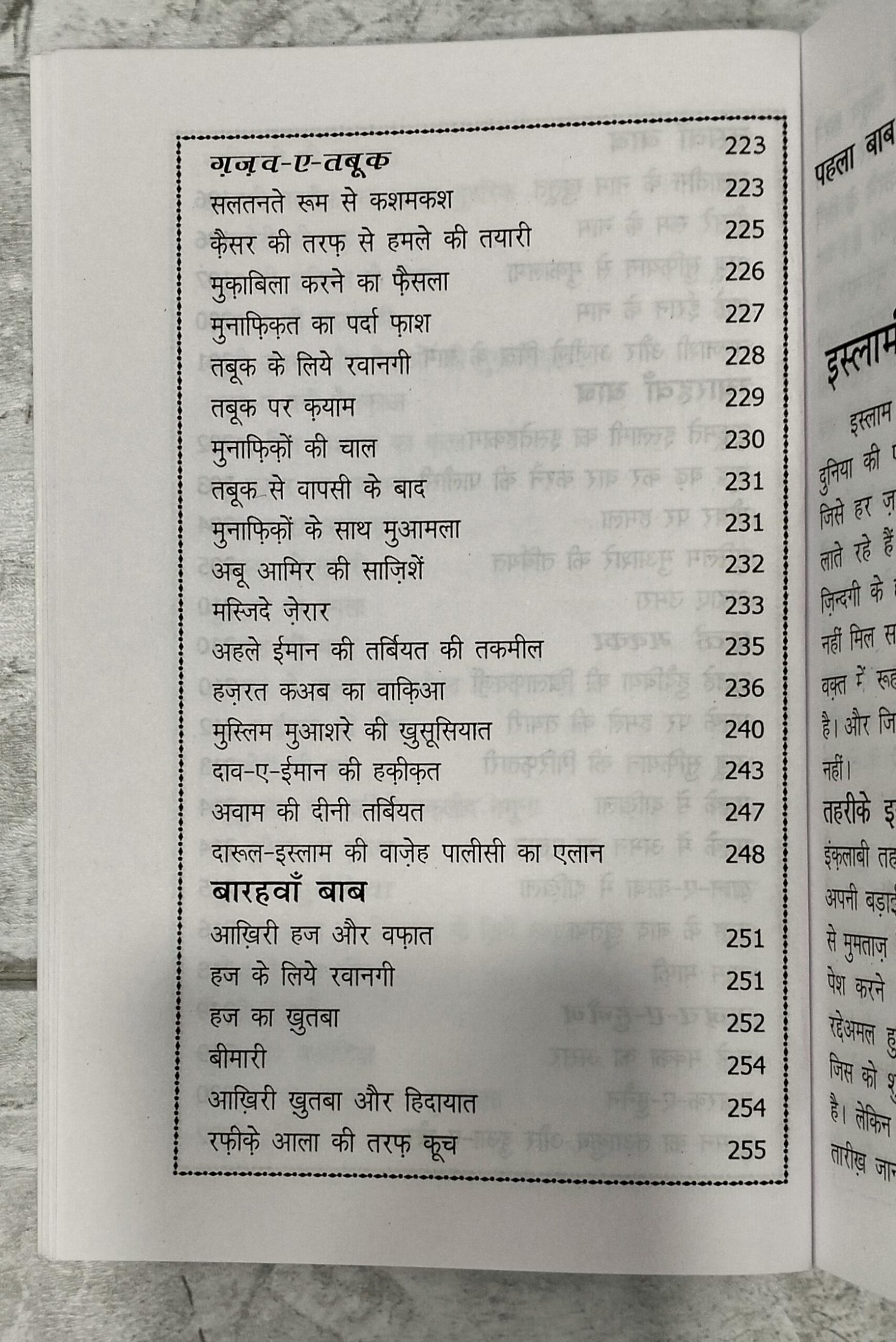 Hayat-E-Tayyaba In Hindi Language Indian Good Printed Quality (Paperback, Hindi, Abu Saleem Muhammad Abdul Hai (Rah)) - Image 3