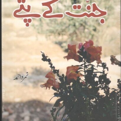 Jannat Ke Patte