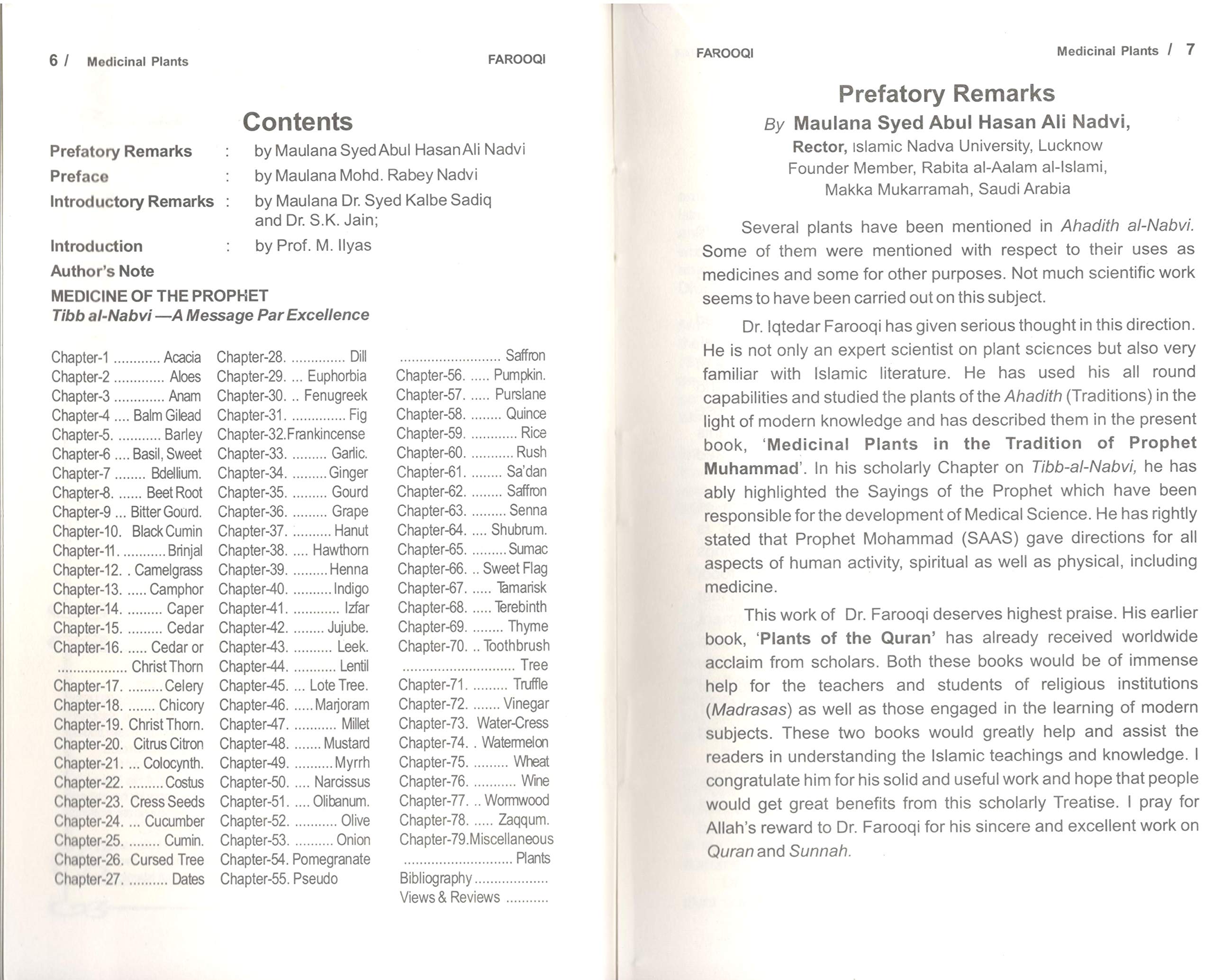 Medical Plants In the Traditions of Prophet Muhammad(PBUH) Prophetic medicine A Scientific Study - Image 3