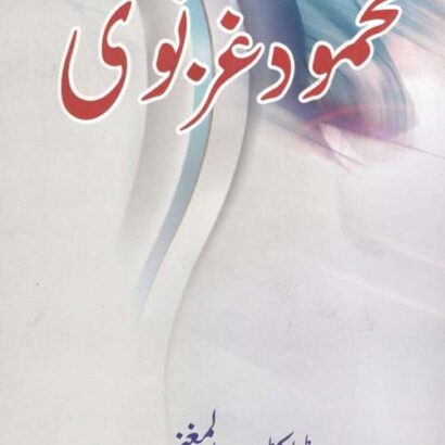 Mahmood Ghaznavi