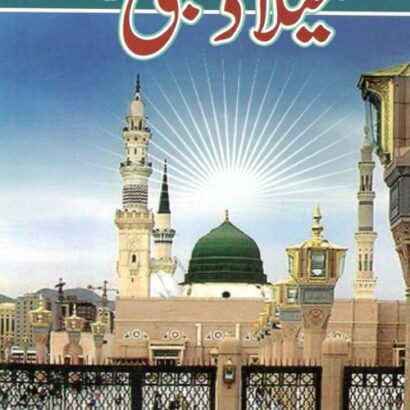 Meelad Un Nabi