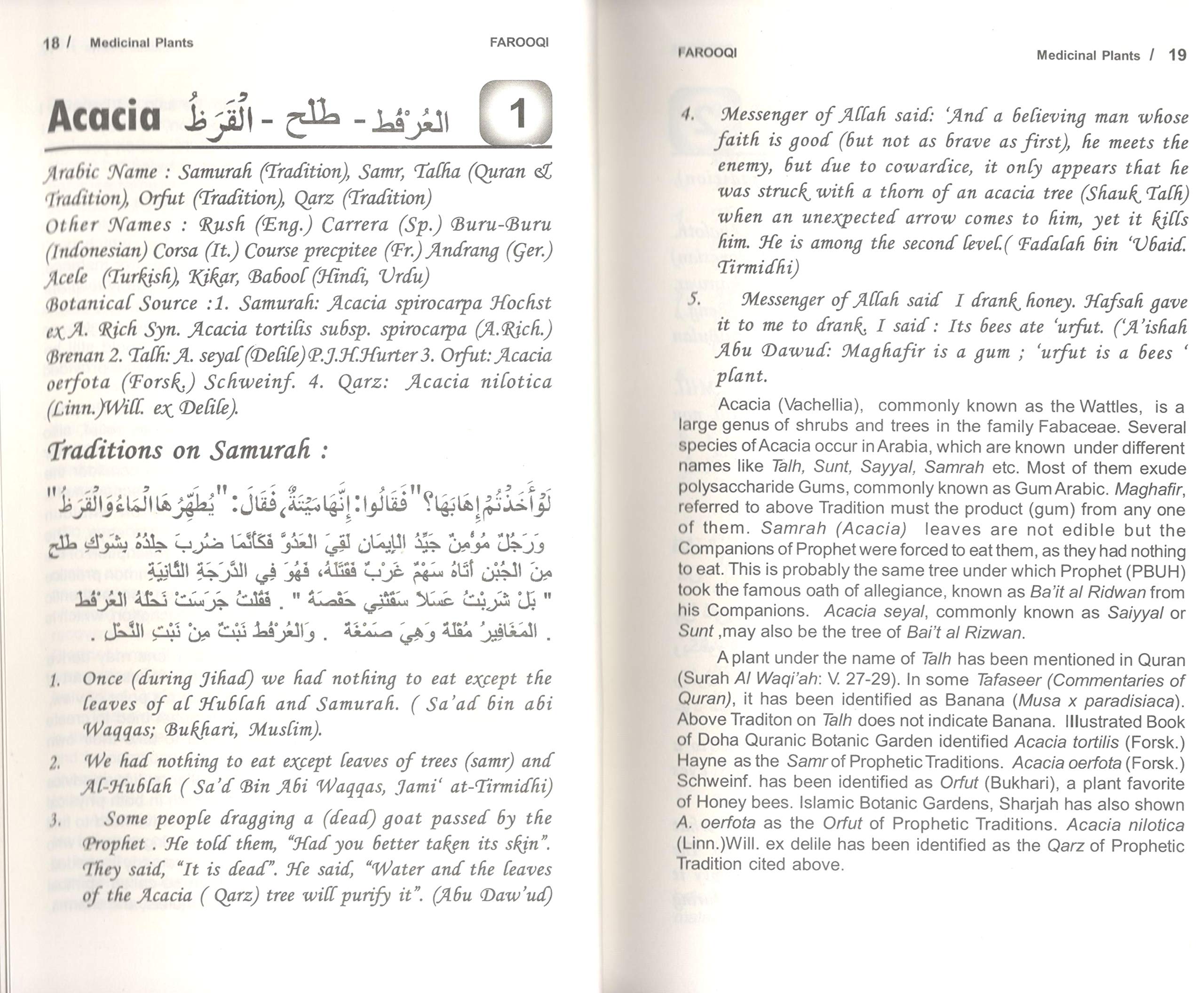 Medical Plants In the Traditions of Prophet Muhammad(PBUH) Prophetic medicine A Scientific Study - Image 4