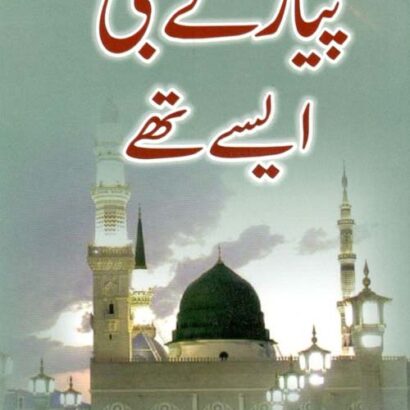 Peyare Nabi Aise Thhe