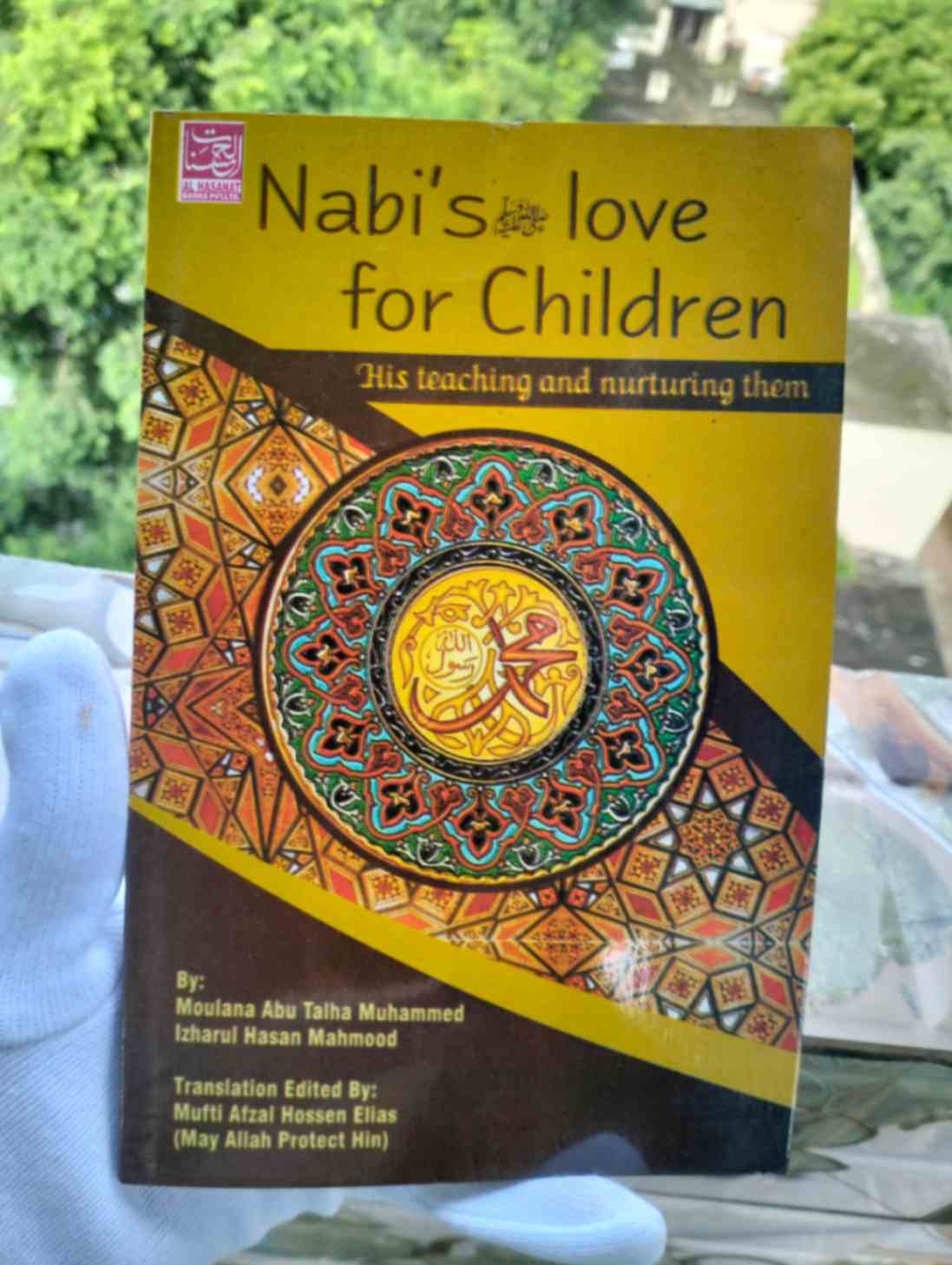 Nabis Love For Children (Paperback