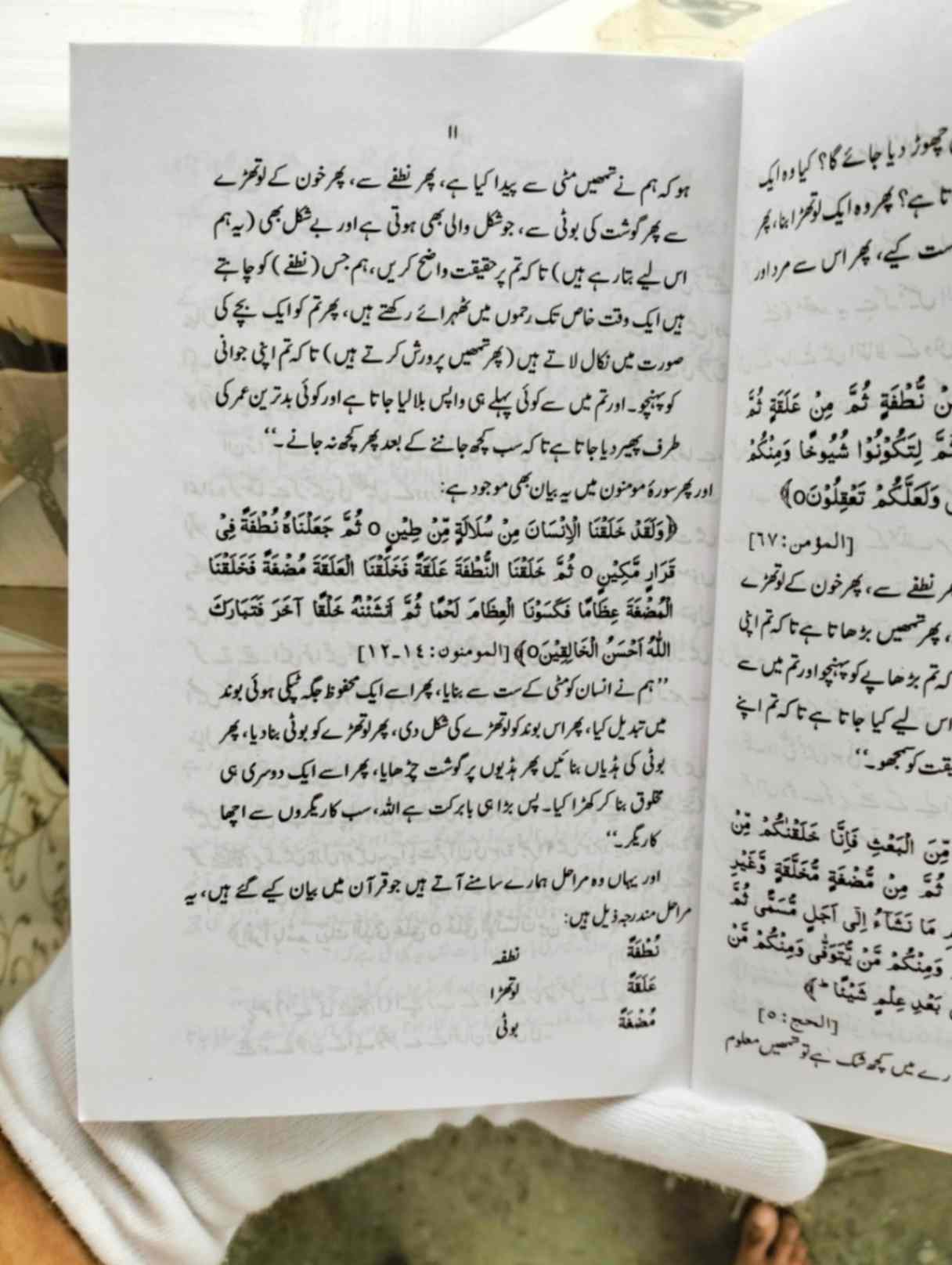 Bible Quran Aur Jadeed Science Paperback